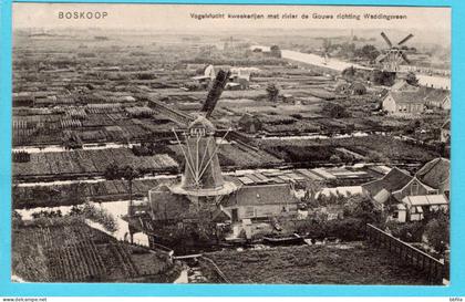 NEDERLAND prentbriefkaart Vogelvlucht kweekerijen met rivier de Gouwe richting Waddingsveen 1911 Boskoop bloemententoons