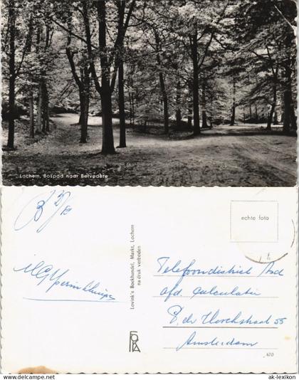 Postkaart Lochem Lochem, Bospad naar Belvedere 1965
