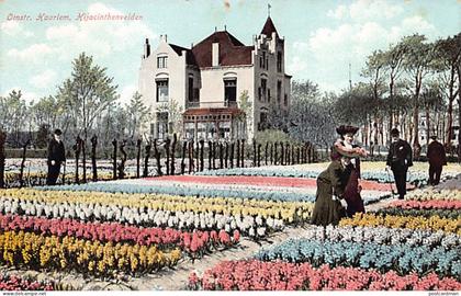 Nederland - HAARLEM - Hyacinthenvelden - Omstr. Haarlem