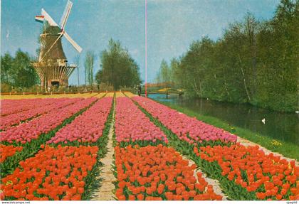 CPM Keukenhof Lisse Holland