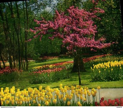 CPM Keukenhof Lisse Holland