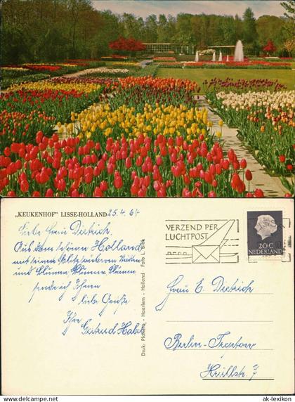 Postkaart Lisse KEUKENHOF LISSE-HOLLAND, Blumen & Pflanzen 1964