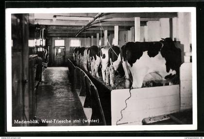 AK Medemblik, West-Friesche stal