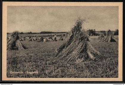 AK Ootmarsum, Roggeveld