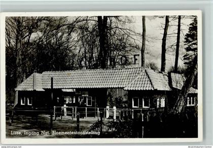 10065400 - Lisse