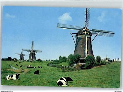 2261 Leidschendam - Windmühle Kühe - 51766262