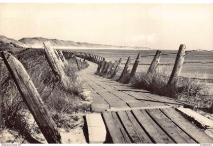 A207 Netherlands Zoutelande along the sea Langs de Zee vintage postcard