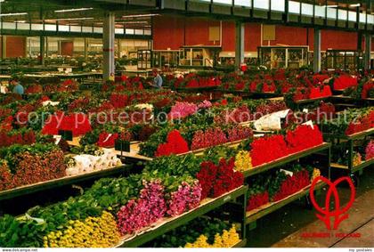 Aalsmeer Blumencenter