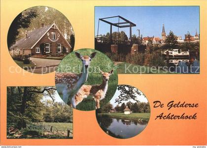 Achterhoek Gelderland Rehe Boot