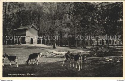 Assen Hertenkamp Wildgehege