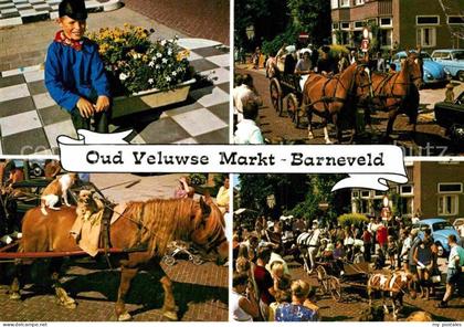 Barneveld Gelderland Pferdekutschen