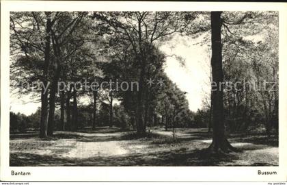 Bussum Bantam
