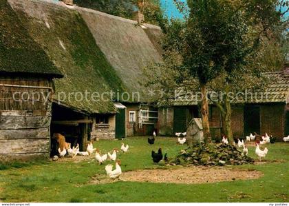 Drenthe Drentse boerderij