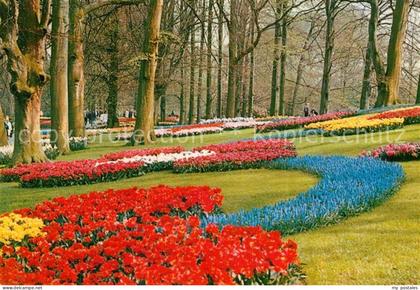 Lisse Keukenhof