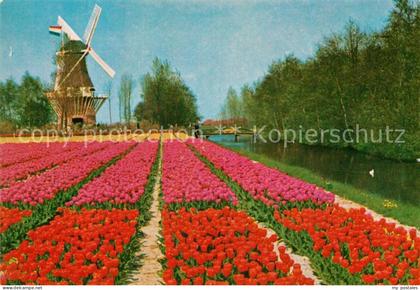 Lisse Keukenhof