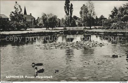 Sappemeer Prinses Margrietpark Ententeich