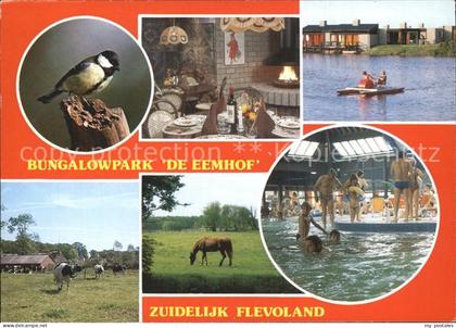 Zuidelijk Flevoland Bungalowpark Eemhof Schwimmbad Tretboot