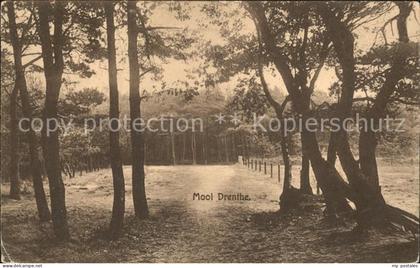 Zuidlaren Dennenbosch