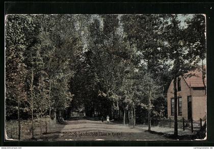 AK Rolde, Drentsch Landschap, Laan te Rolde