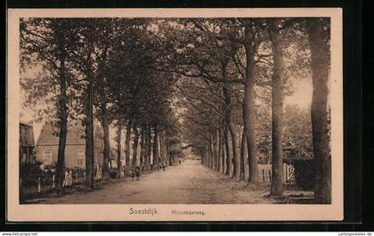 AK Soestdijk, Rijksstraatweg, Panorama