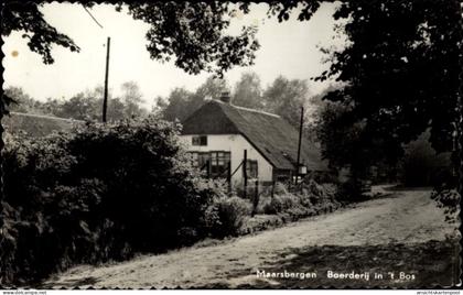 CPA Maarsbergen Utrecht Niederlande, Boerderij in 't Bos