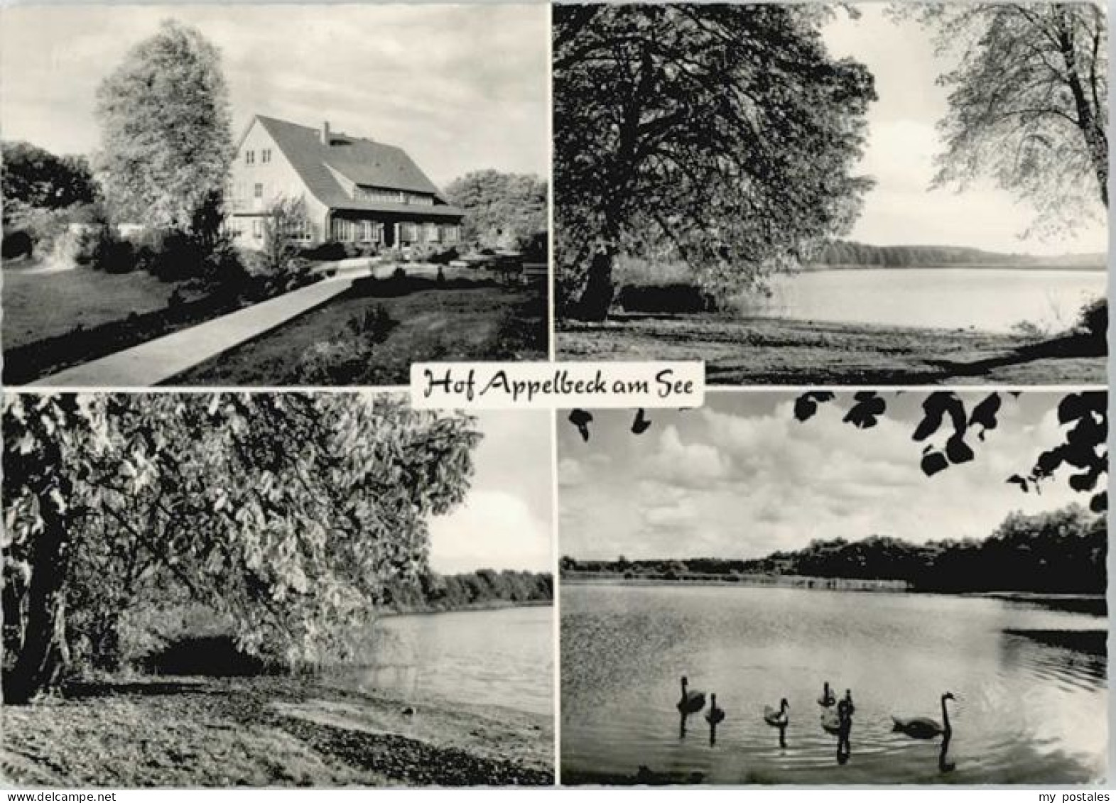 Hollenstedt Kreis Harburg Hof Appelbeck