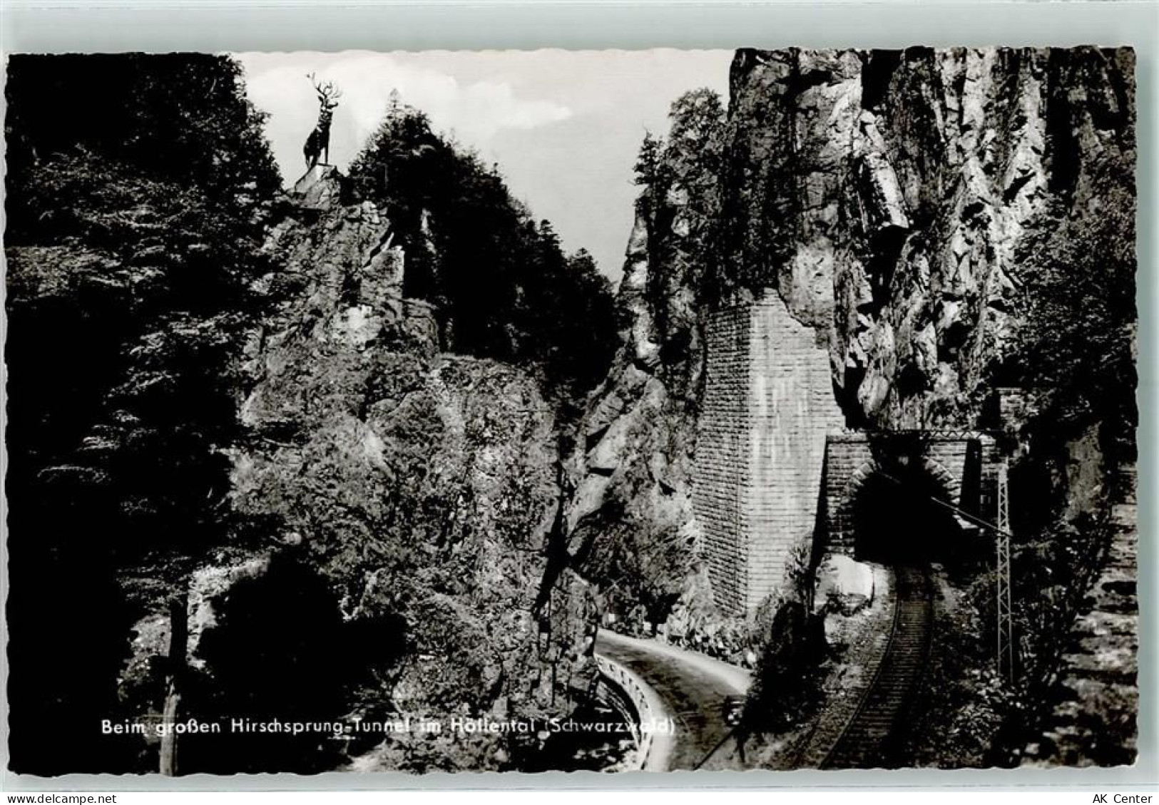 Höllental - Beim großen Hirschsprung-Tunnel - 10231202