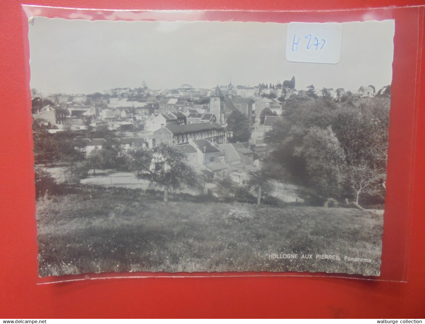 HOLLOGNE aux PIERRES (H273)