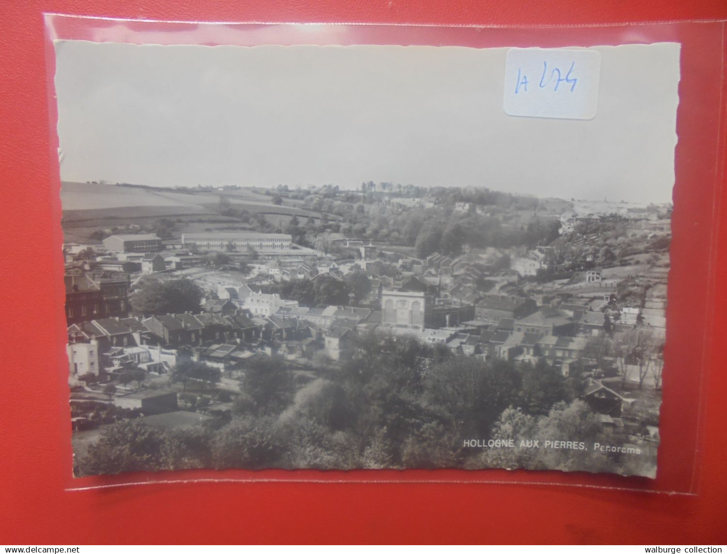 HOLLOGNE aux PIERRES (H274)