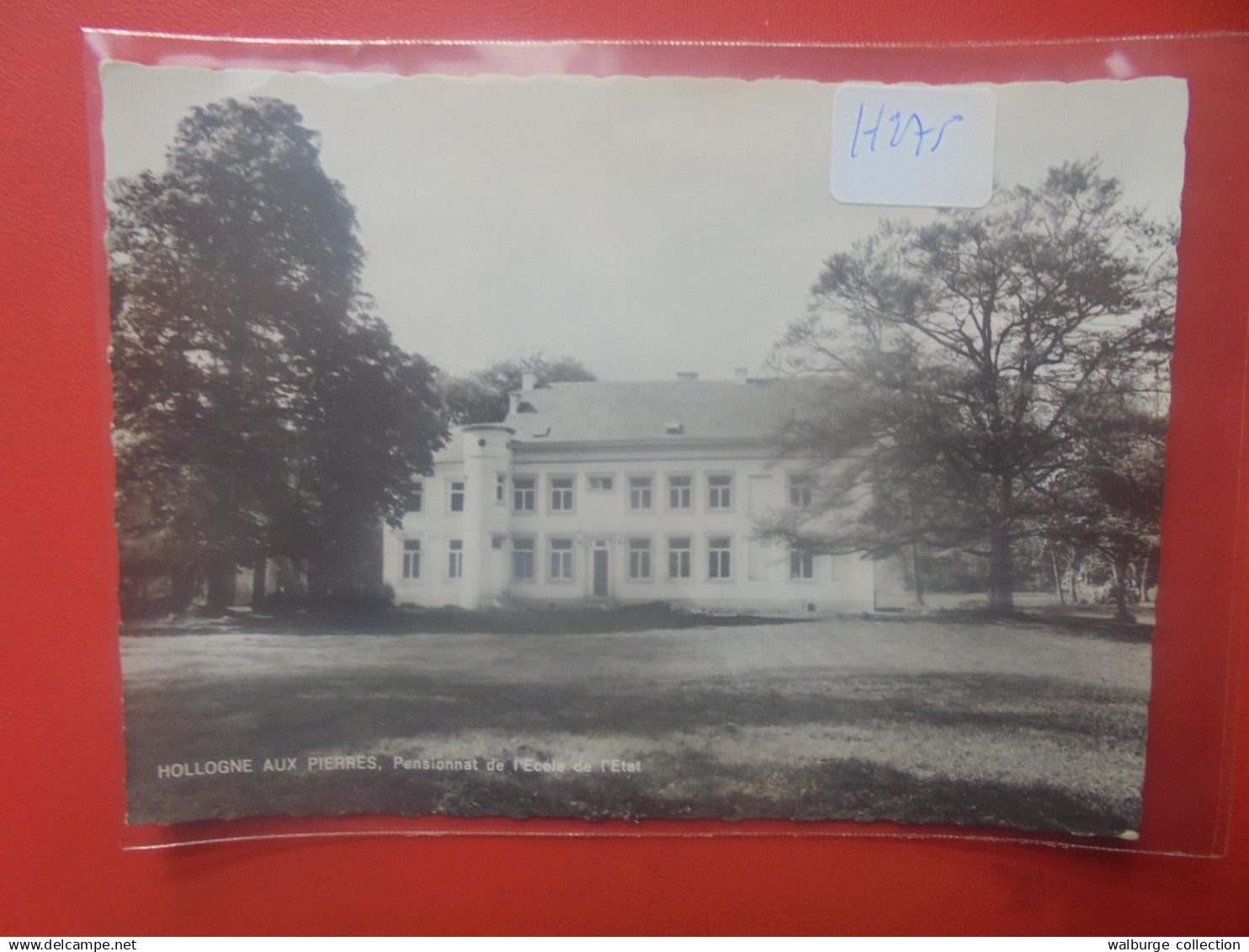 HOLLOGNE aux PIERRES (H275)