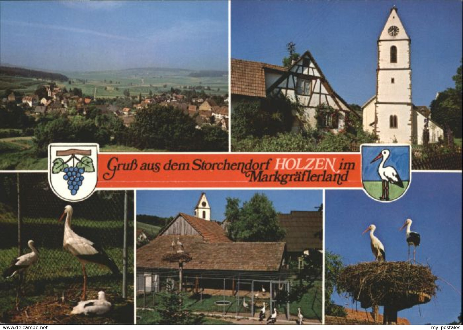 Holzen Kandern Storch