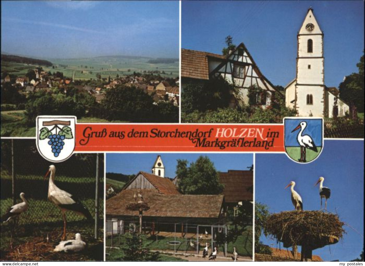 Holzen Kandern Storch