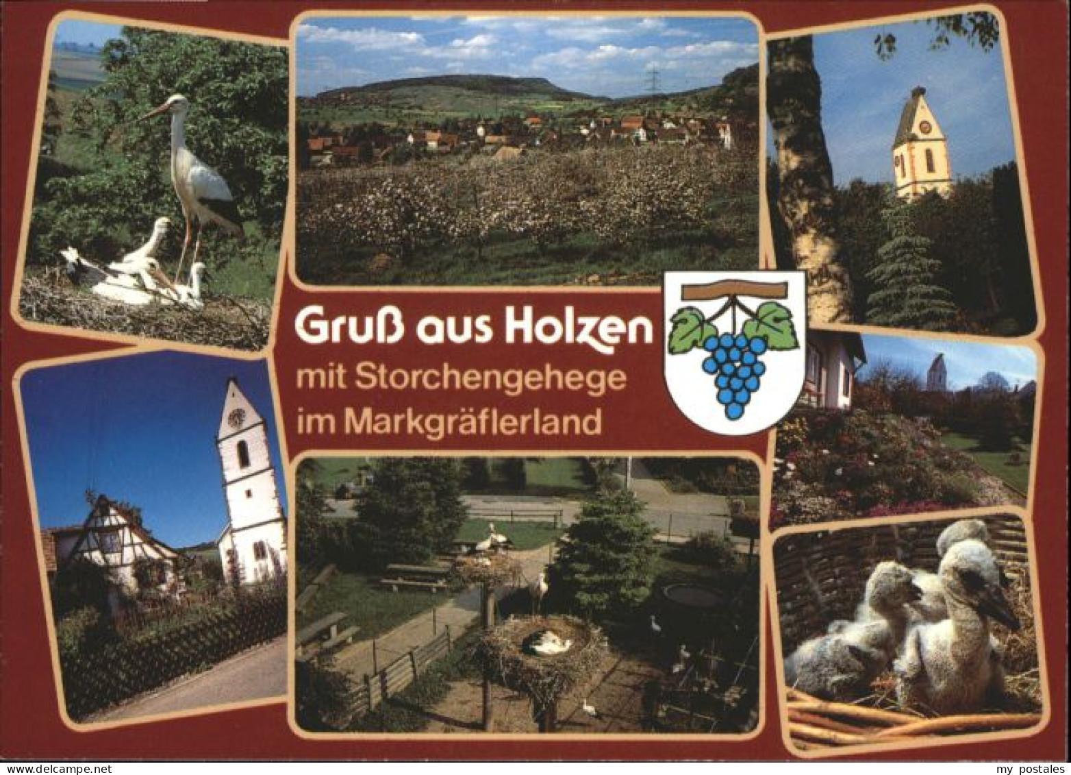 Holzen Kandern Storchengehege
