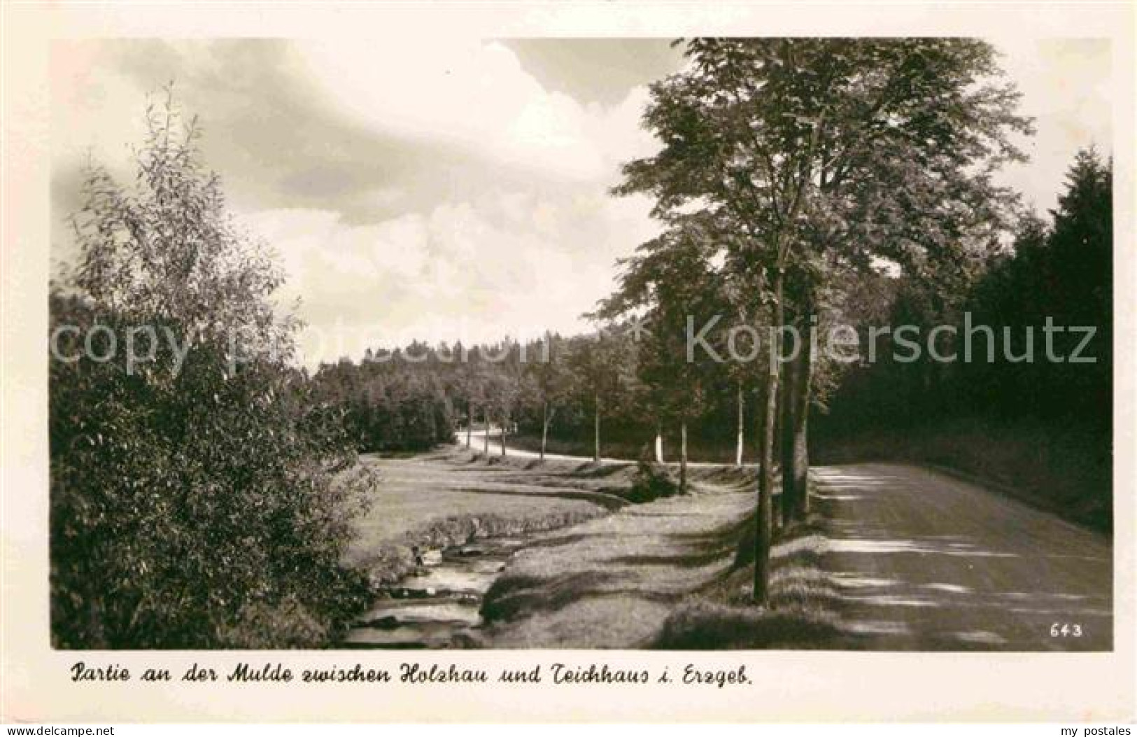 Holzhau Brand-Erbisdorf Partie an der Mulde