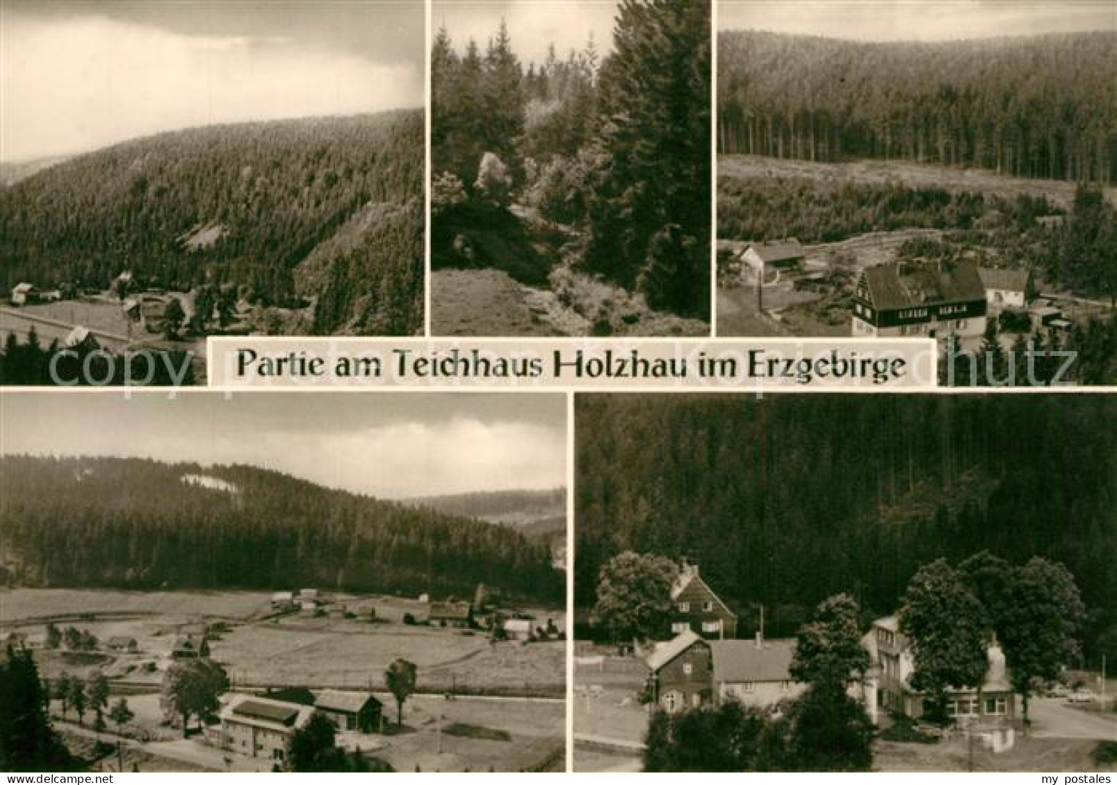 Holzhau Brand-Erbisdorf Teichhaus Panorama