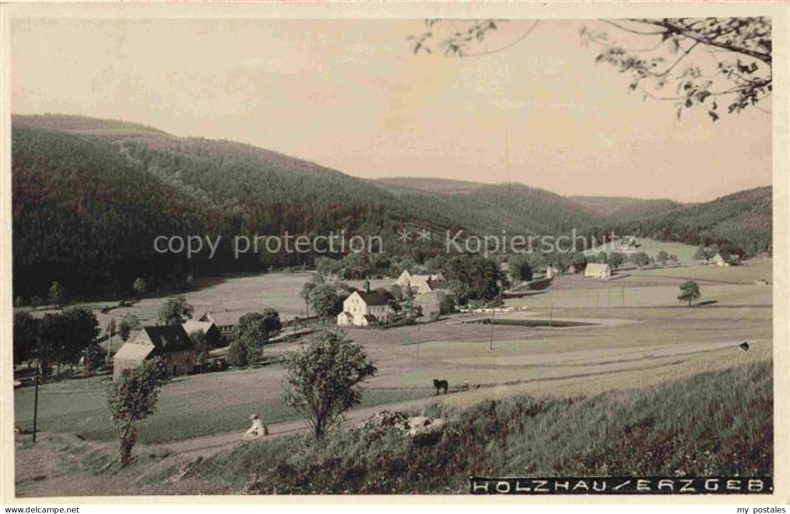 Holzhau Erzgebirge Rechenberg-Bienenmuehle Panorama