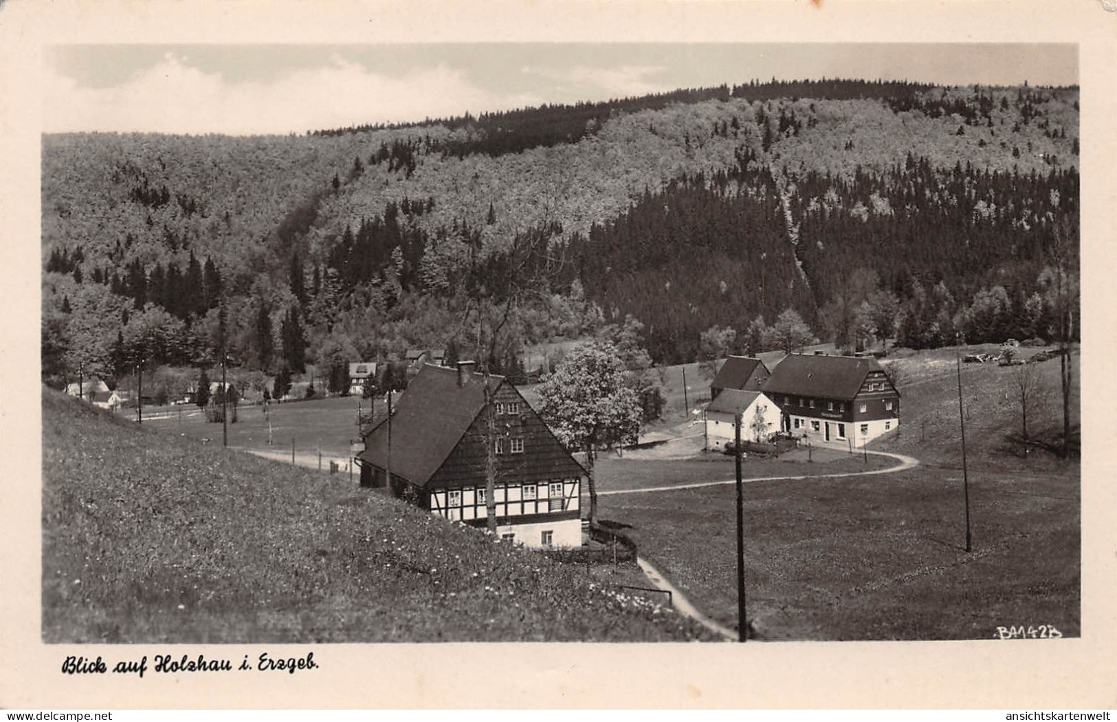 Holzhau i. Erzgeb. Blick auf Holzhau ngl #193.234