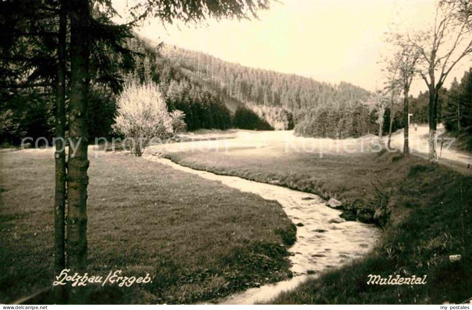 Holzhau Rechenberg-Bienenmuehle