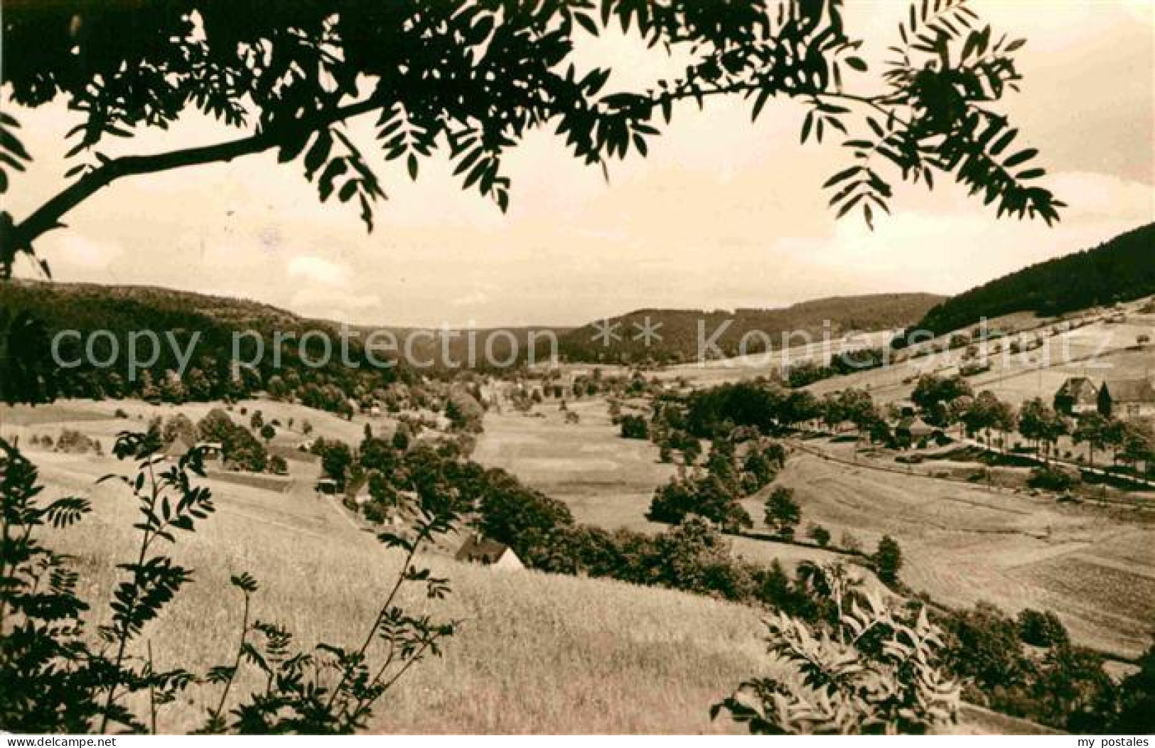 Holzhau Rechenberg-Bienenmuehle Landschaftspanorama