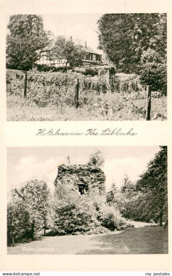 Holzhausen Luebbecke Teilansicht Ruine Limberg