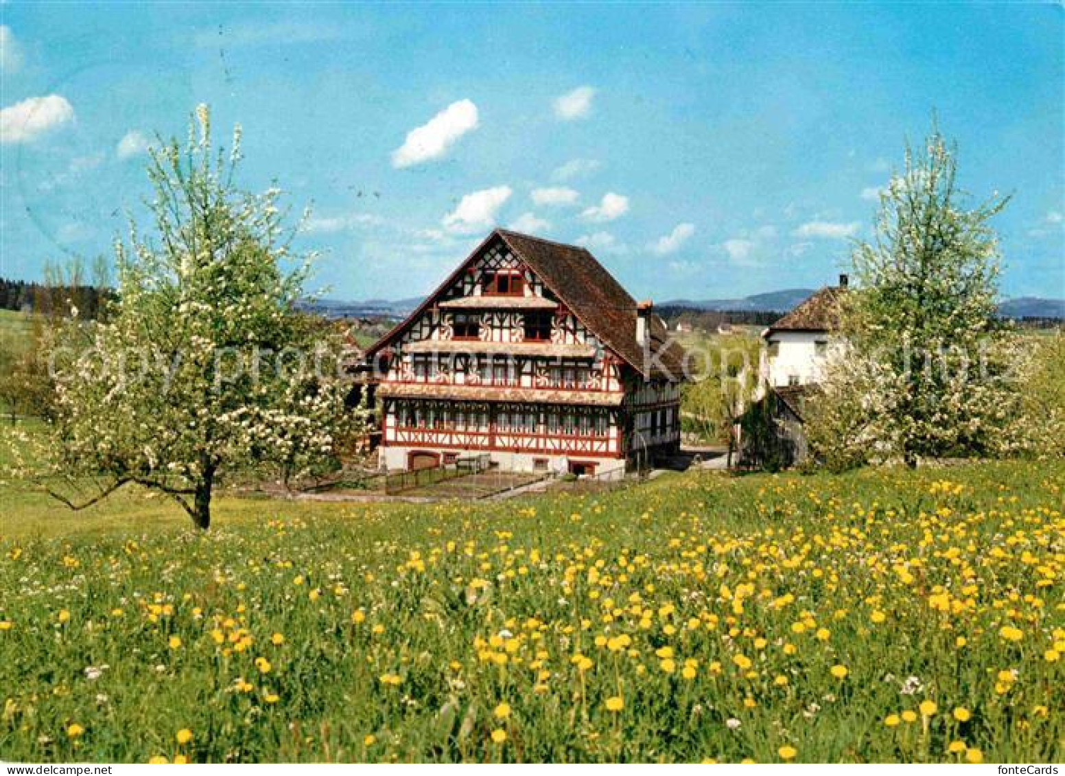 Hombrechtikon Eglihaus