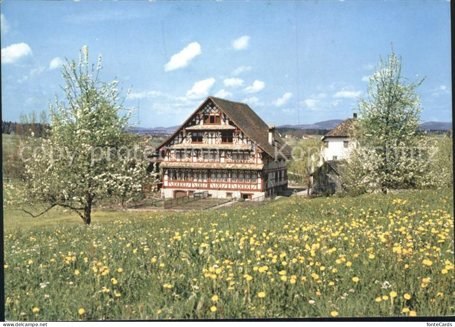 Hombrechtikon Eglihaus