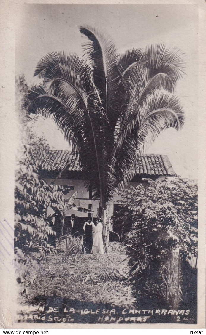 HONDURAS(CANTARRANAS) ARBRE