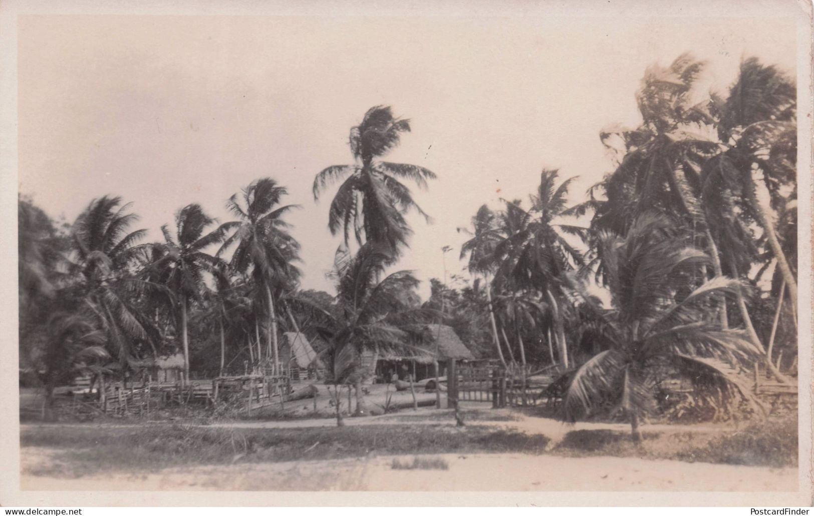 Honduras Mud Hut Homes Squatters Ethnic Old RPC Postcard