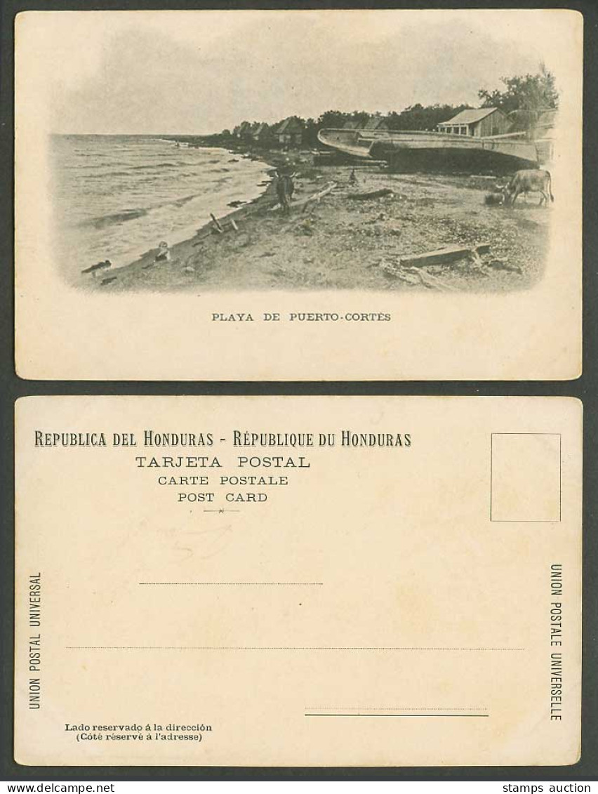 Honduras Playa de Puerto Cortes Beach Boats Cattle Seaside Panorama Old Postcard