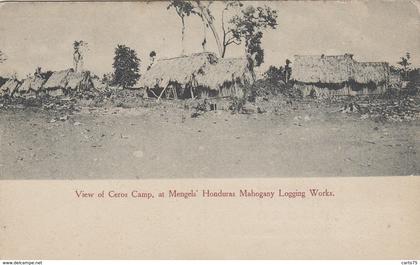 Amérique - Honduras - Belize - View of Ceros Camp at Mengels' Mahogany Logging Works - Louisville KY - Bois scierie