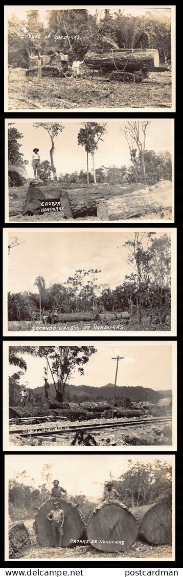 Honduras - Caoba - Serie de 5 postales fotográficas - Publicado por Victoria Estudia - F. Valencia Arriaza - - Mahogany