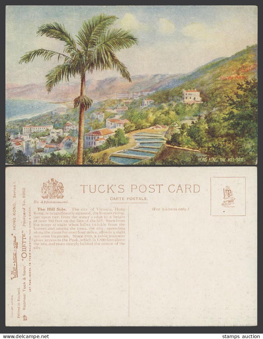 Hong Kong HILL SIDE China Old Tuck's Oilette Postcard Palm Tree Hill Filter Beds