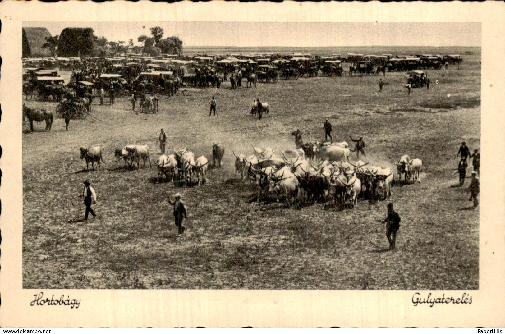 Hongarije Hungary - Hortobágy - Gulyaterelés