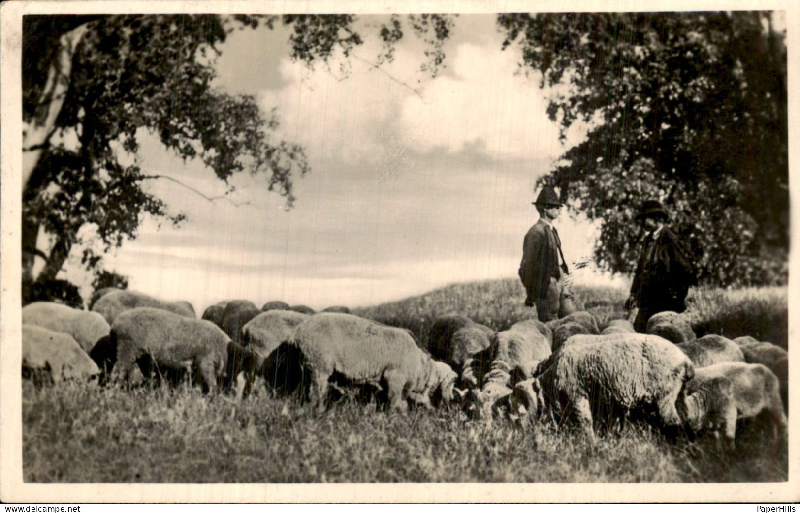 Hongarije Hungary - Ungarn